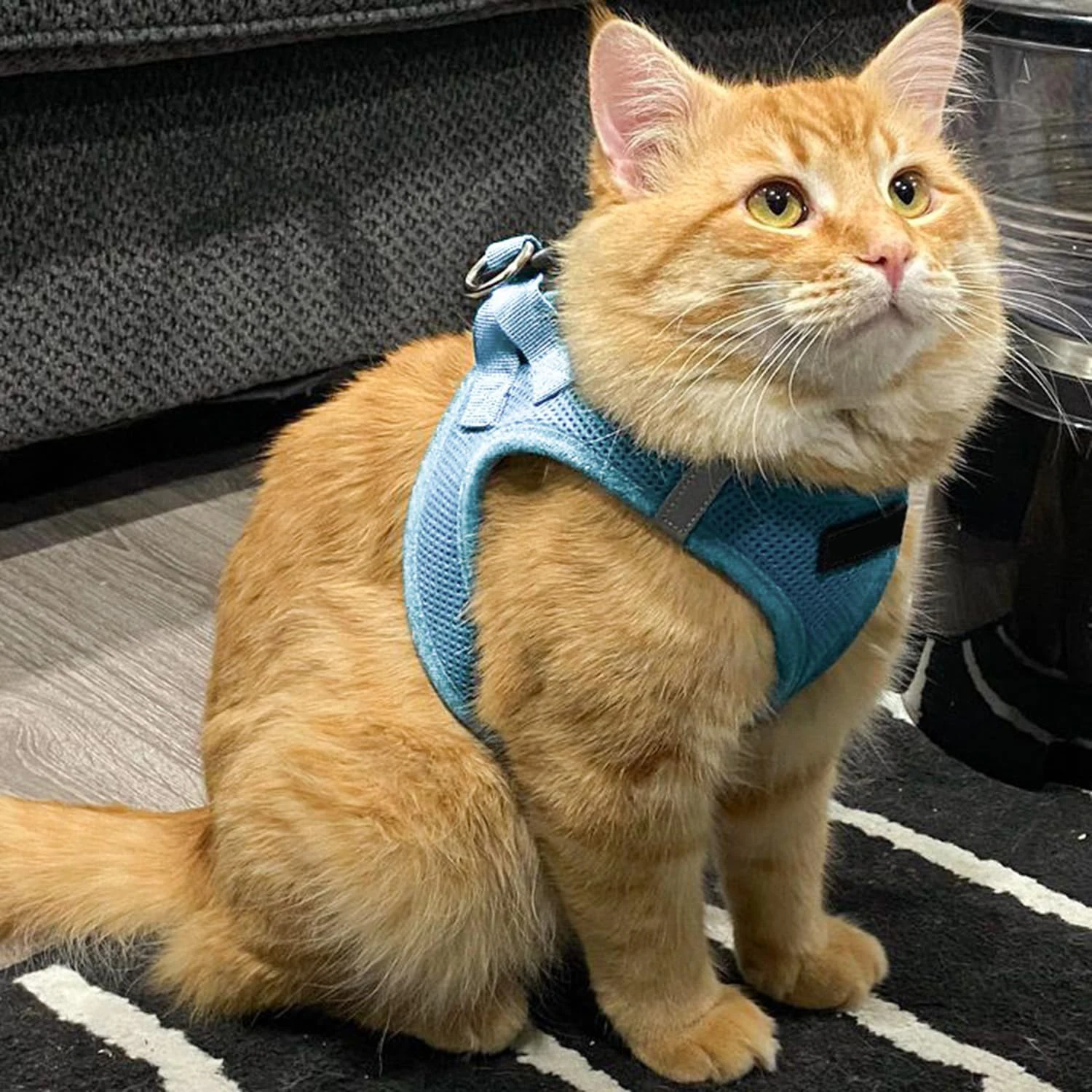 Custom Personalized Adjustable Step-in Air No Pull Dog Harness Nylon Mesh Pet Dog Cat Harness Vest for All Weather