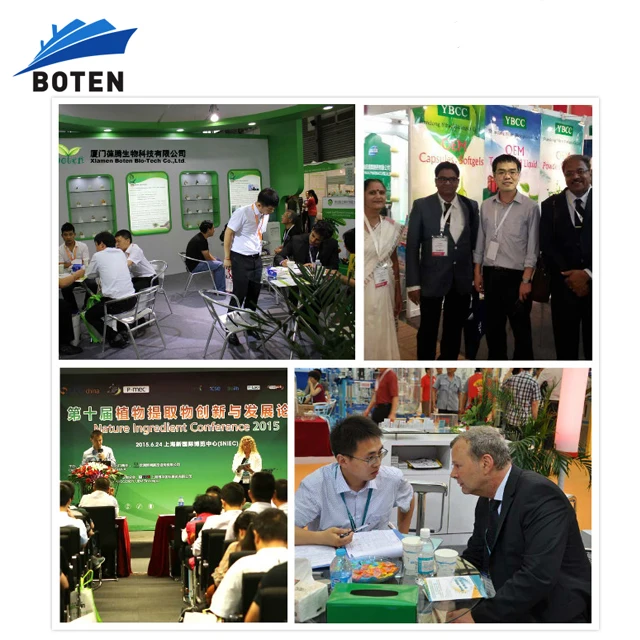 Boten astragalus membranaceus root extract powder astragalosides