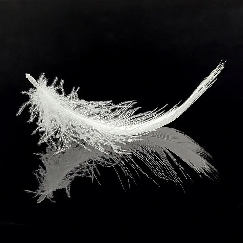 
Washed Goose Feathers Plume Natural Materials For Soft Filling Materials 