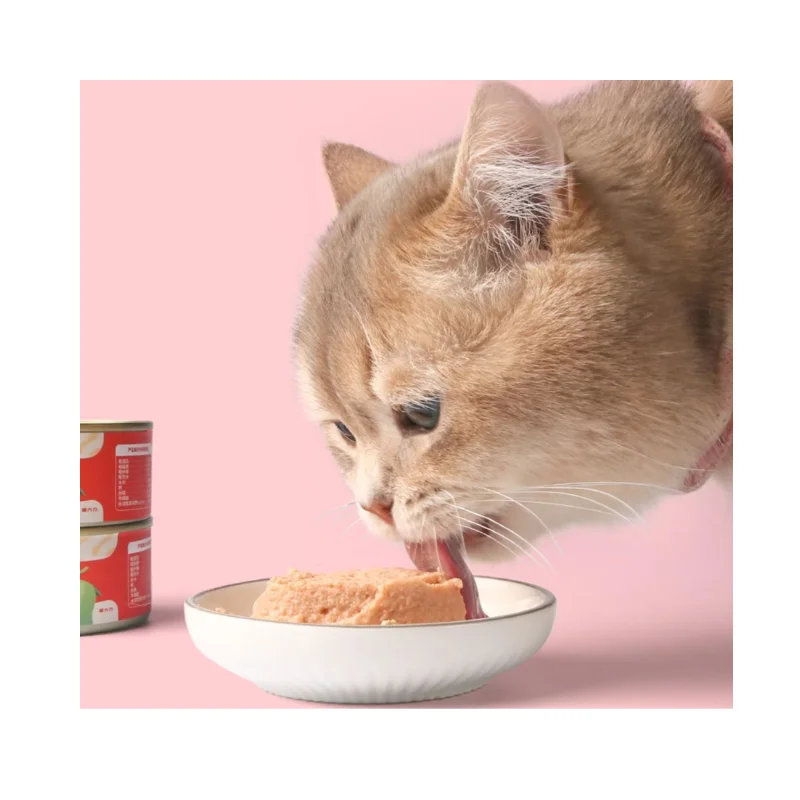 Premium Wet Cat Food Assortment - Succulent Salmon & Tuna Flavors for Feline Wellness and Delight