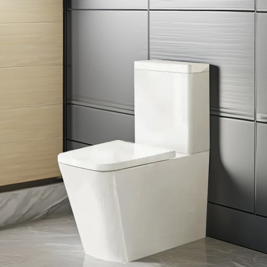 Toilette igbonse les chiottes Sanitary Ware Commercial Toilet with Dual Flush Cistern - Water Saving Durable Reliable