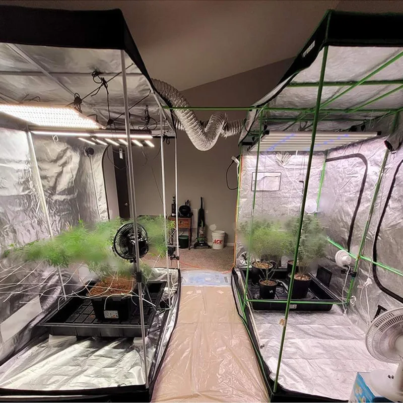 Oversized Complete D600 Grow Tent Kit Hydroponics System Weed Indoor Ventilation Full Set 150x150x200 600x300x200