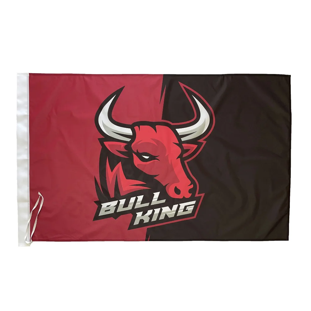 Professional Factory Wholesale Optional Size Digital Printing 3x5 ft Outdoor Advertising Flags Banner Custom Flag logo