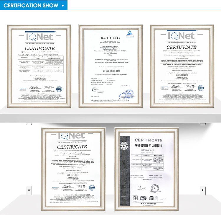 certification H.jpg