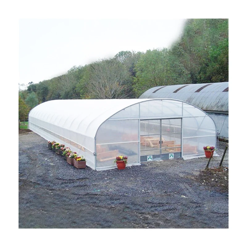 Smart Farming Agriculture Commercial Green Houses Plastic Film Greenhouse Tunnel Single Span Greenhouse