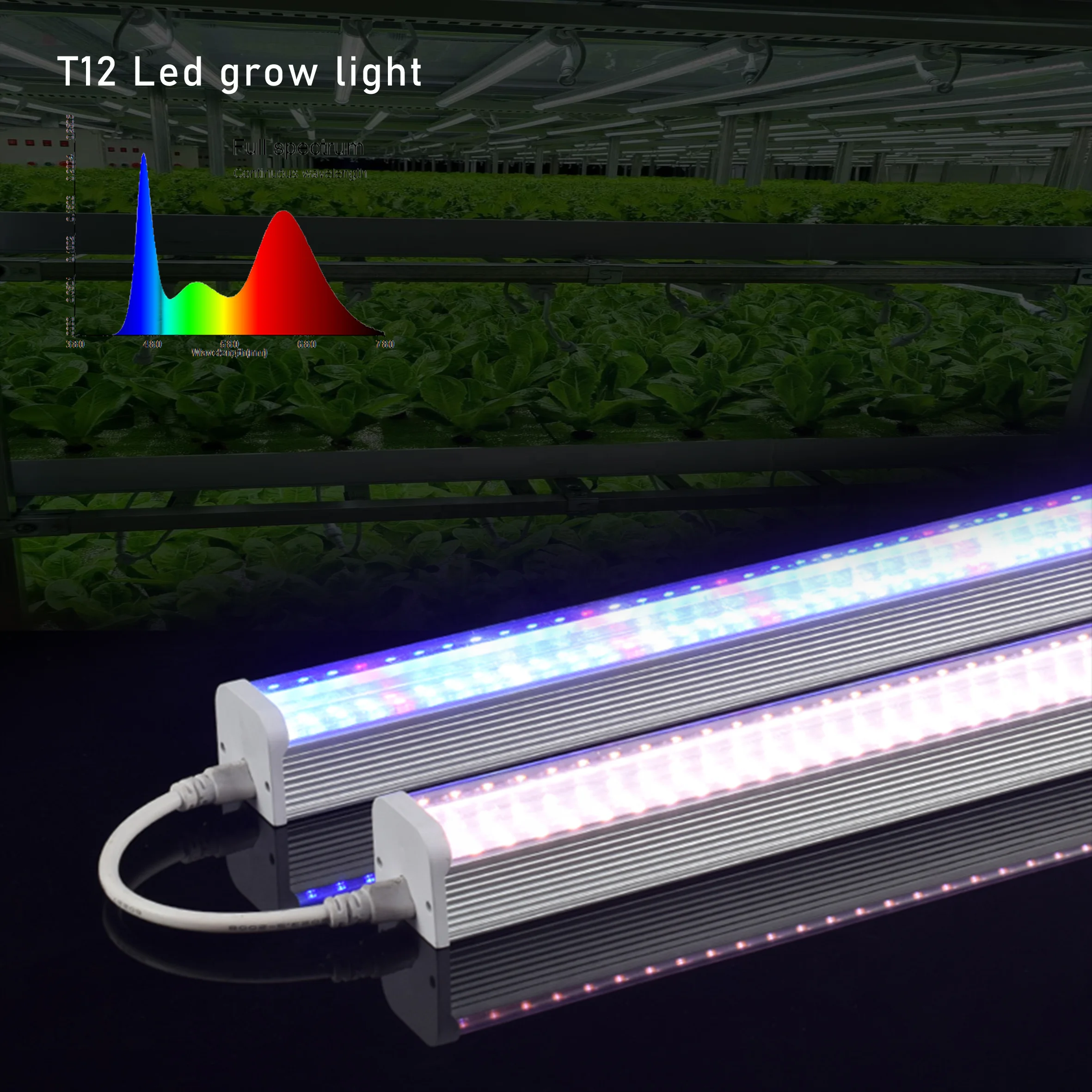 Greenhouse seedling 120-140 umol/m2/s pink:white:red:blue full spectrum led grow light
