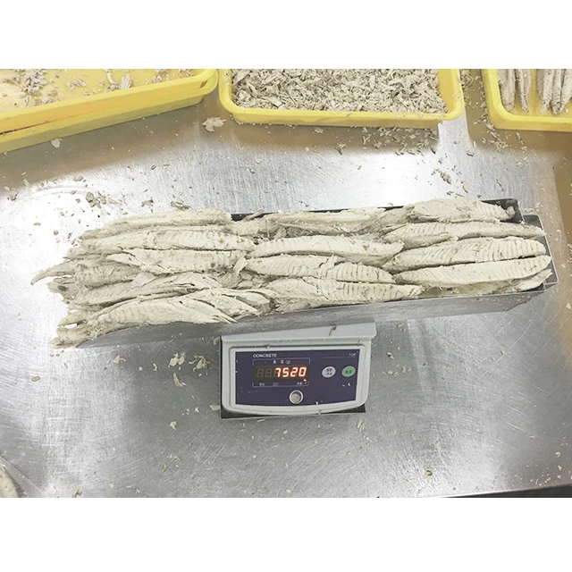 Frozen Skipjack Canned Tuna Fish, Frozen Skipjack Tuna Loins