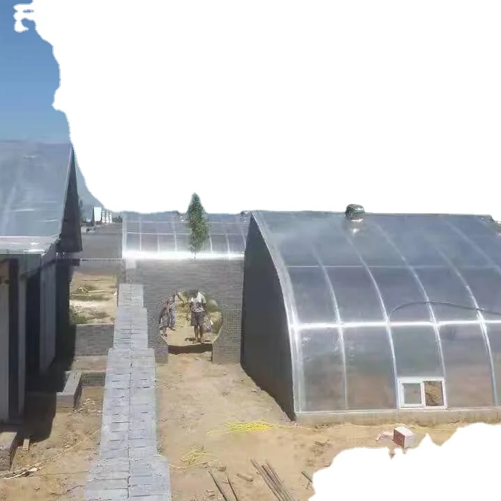 
twin wall polycarbonate greenhouse sheet polycarbonate roofing price 