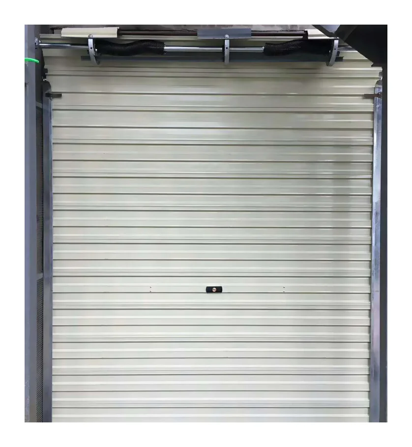 Galvanized Steel Hardware Store Rolling Door By Chinese Supplier