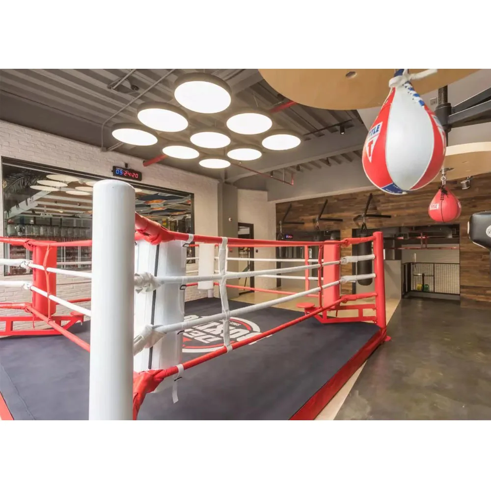 Профессиональное боксерское кольцо для соревнований по правилам AIBA