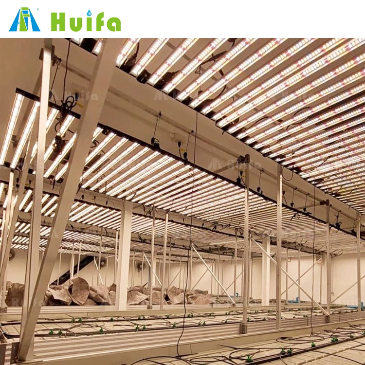 Vertical Farming Plant Factory Hydroponics Growing System 1.5x3m Movable Multi Tiers Abs Flood Tray Rolling Bench Rack Seedbed