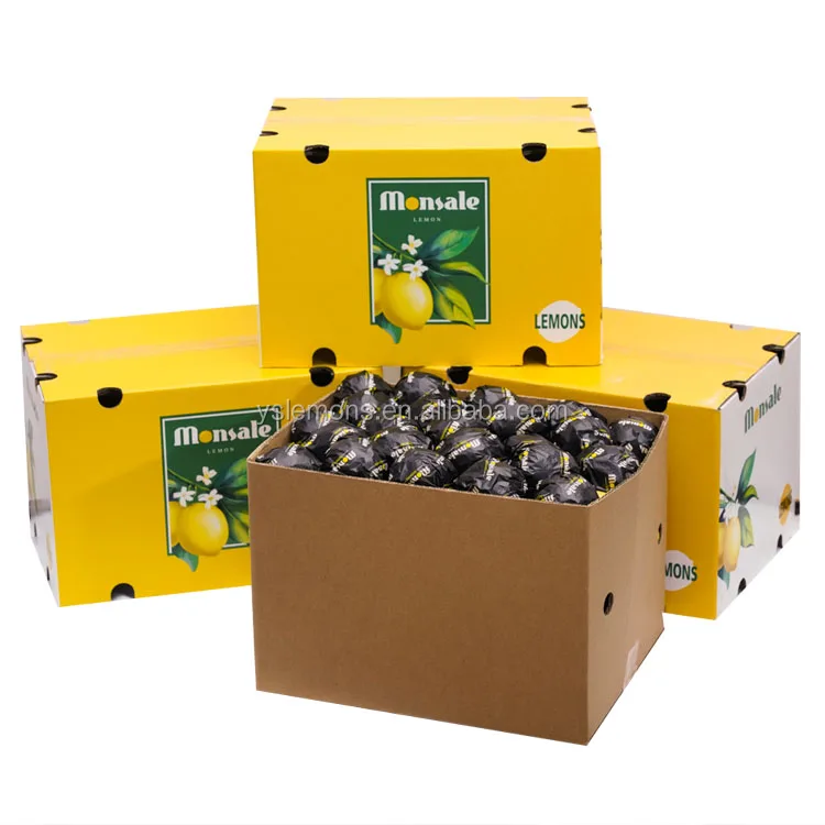 Wholesale Eureka Fresh Organic Lemon Glass Grade B High Quality Citrus Fruits