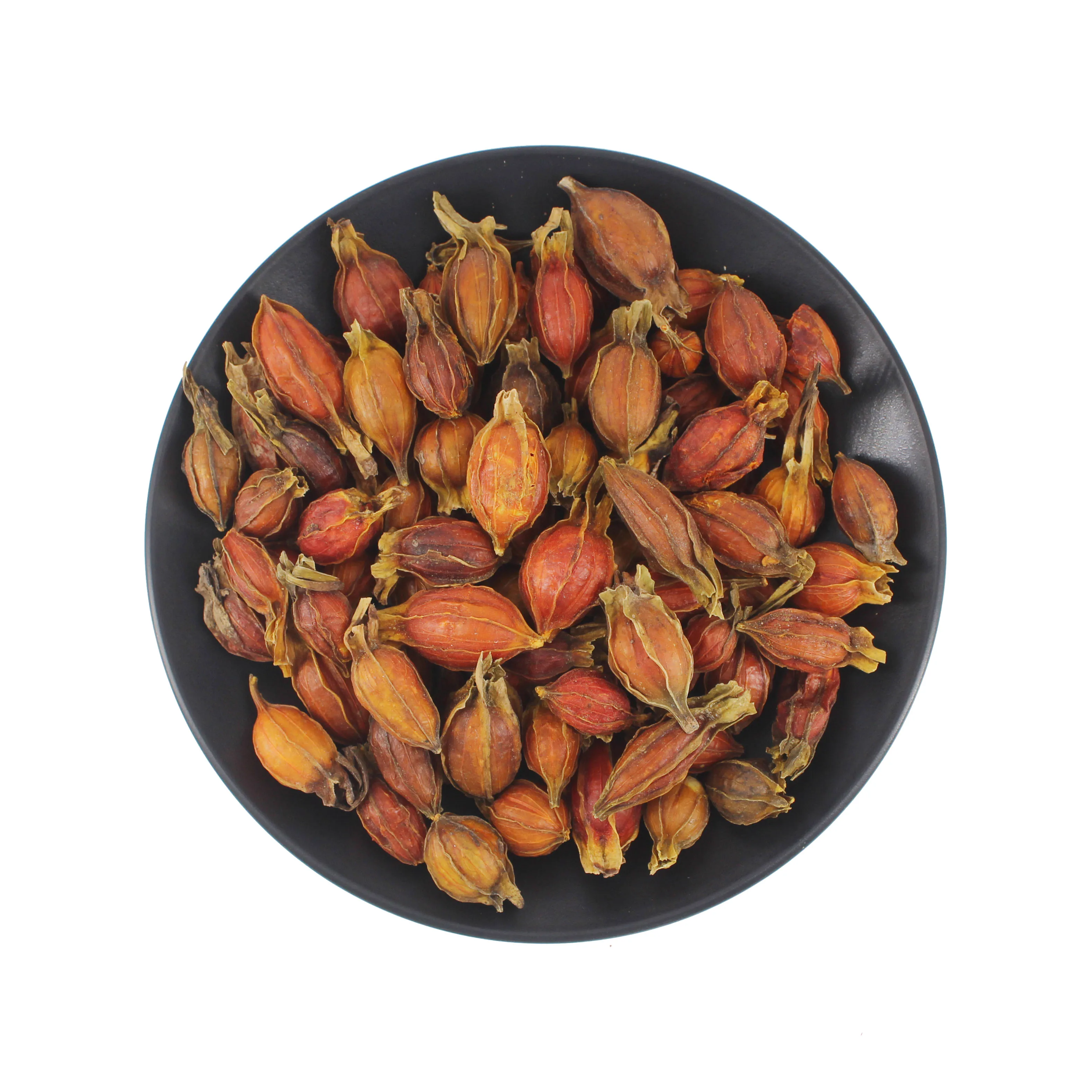 High Quality Dried Fructus Gardenia Edible Dried Herbs Spices  Fructus Gardeniae For Sale