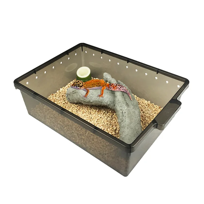Reptile Rearing Box Plastic Turtle Tank Transparent Perforated Breathable Snake Lizard Spider Breeding Container