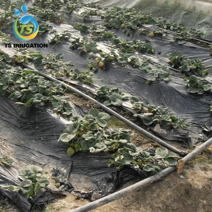 Good price new materials drip irrigation tape small farm land watering irrigation system