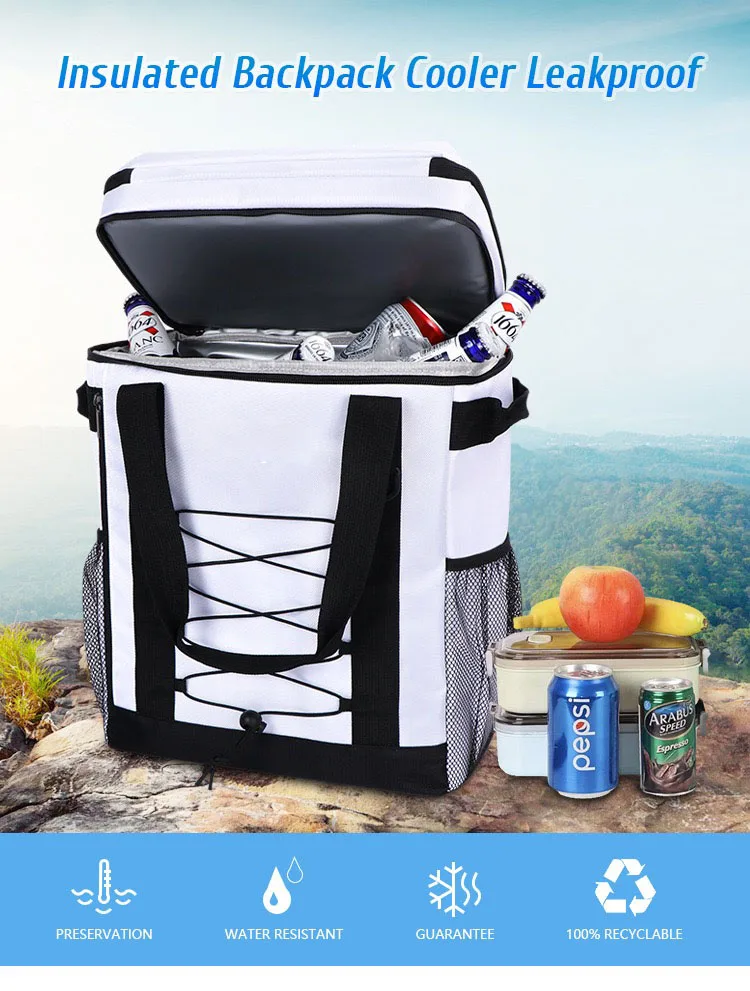 Customized waterproof insulated cooler backpack pvc oxford polyester fish camping travel kayak ice milk wine bags