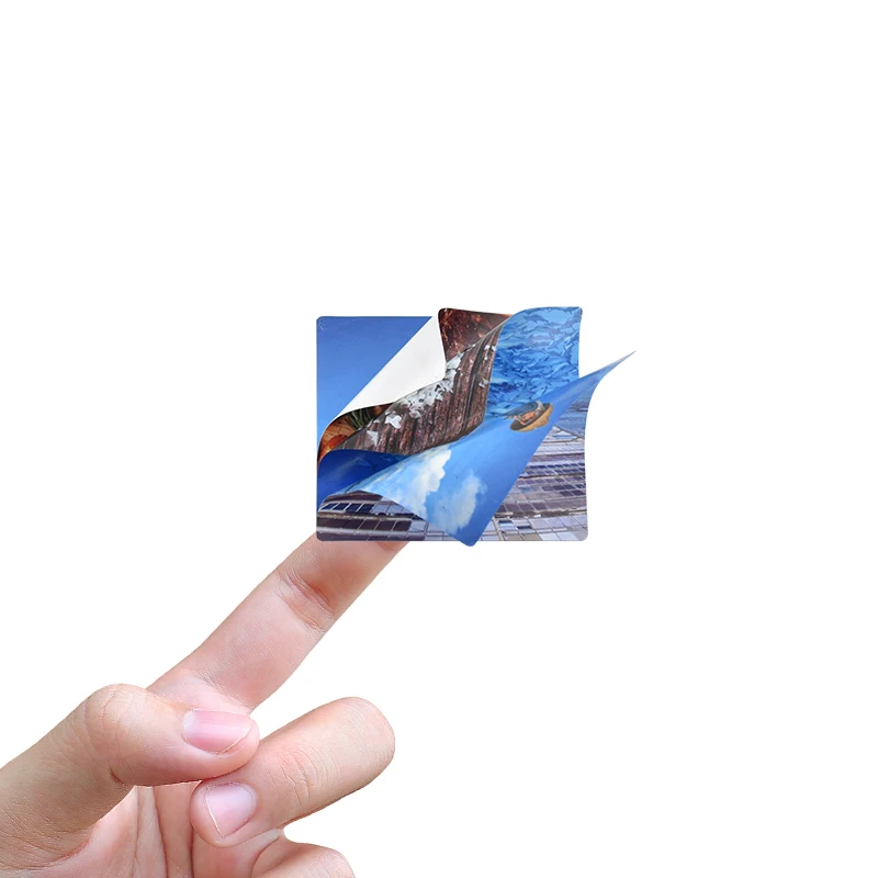 Customized Logo 2 Layers Label Vinyl Adhesive Peel Off Double Layered Sticker Label