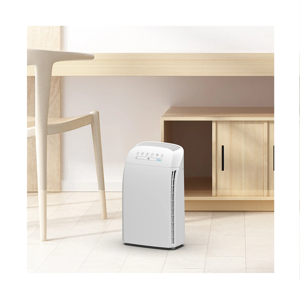 2020 Китай Топ продаж домашний очиститель воздуха с генератором озона P241