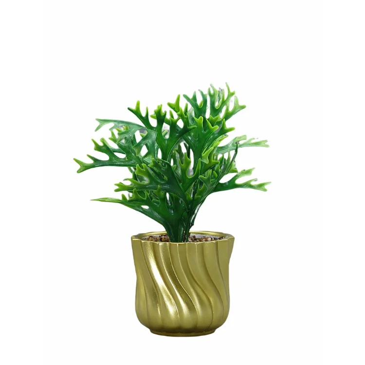 Green Bio Flower 10 Inch Modern White Succulent Ceramic Pot