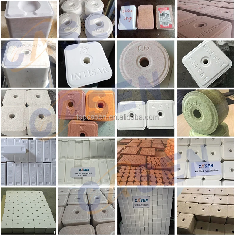 salt lick block salt press machine 500 ton powder pressing making hydraulic press