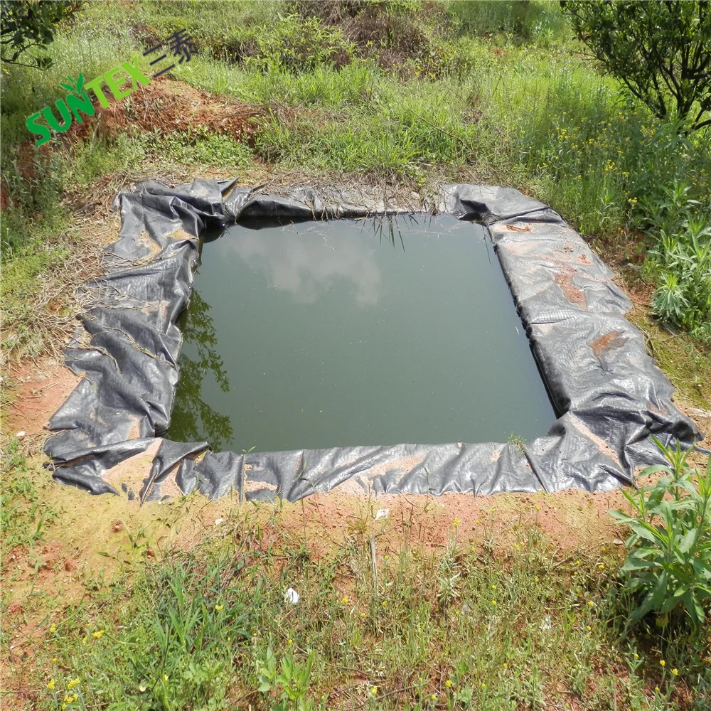 Fish Farming Liner RPE Water Reservoir 0.75mm Geomembranes Pond Liner for Aquaculture