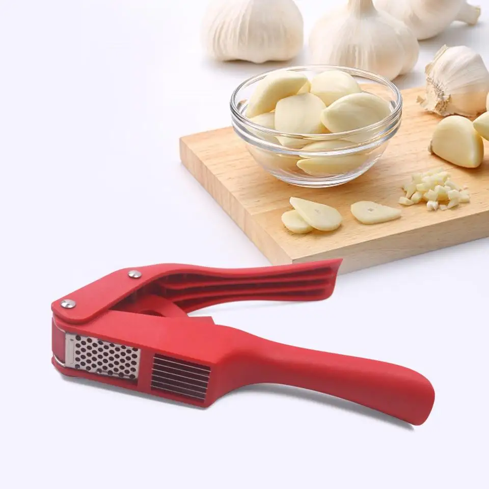 Hot Sale New Design Professional Kitchen Items Vegetable Tools Stainless Steel Garlic Press Tool
