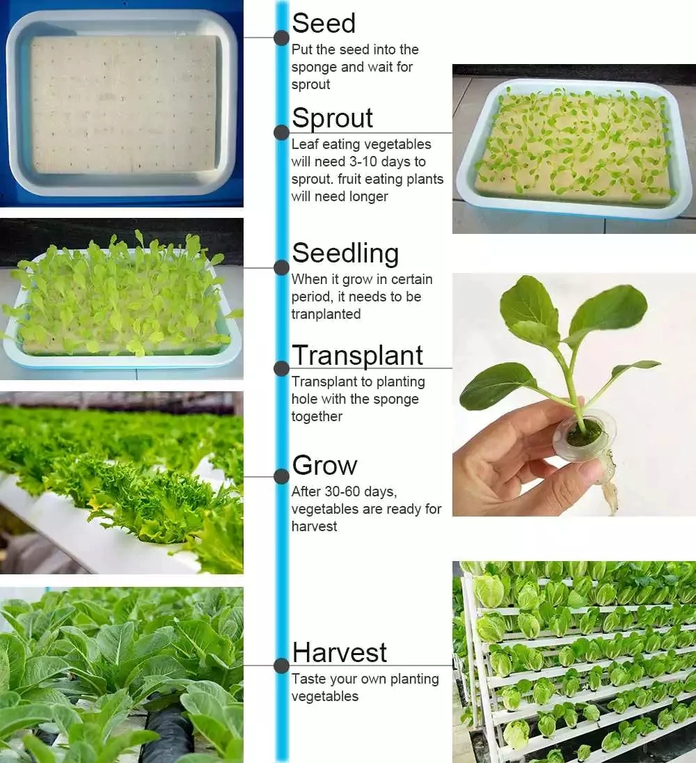 New and Strong PVC Pipes 3 Layers 108 Plant Sites NFT Hydroponic Growing System Vertical Planter Kit for Vegetables Strawberry