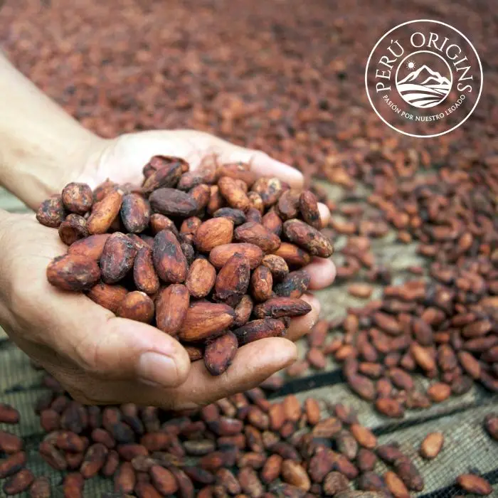 Excellent Quality 65% 70% Wholesale Cacao Cocoa Coins Organic Dark Chocolate Wafers With Sugar Cane From Peru