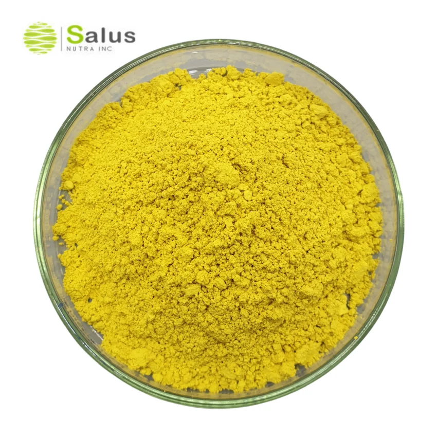 Оптом 98% порошок фисетина SALUS