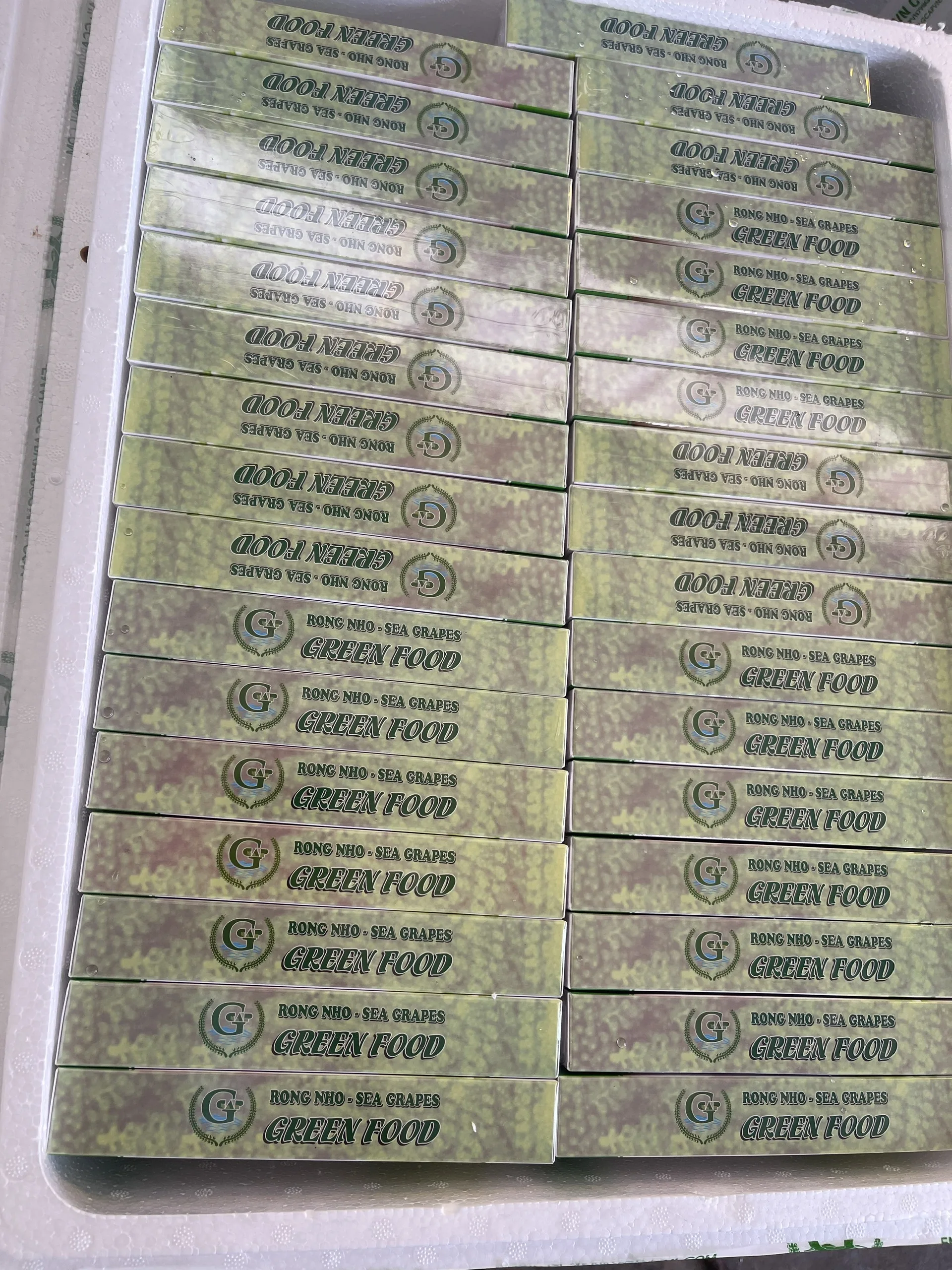 Organic Halal Sea Grapes (Umibudo) Dehydrated Seaweed from Viet Nam GCAP VN Manufacturer OEM Factory Brand Salt Preservation