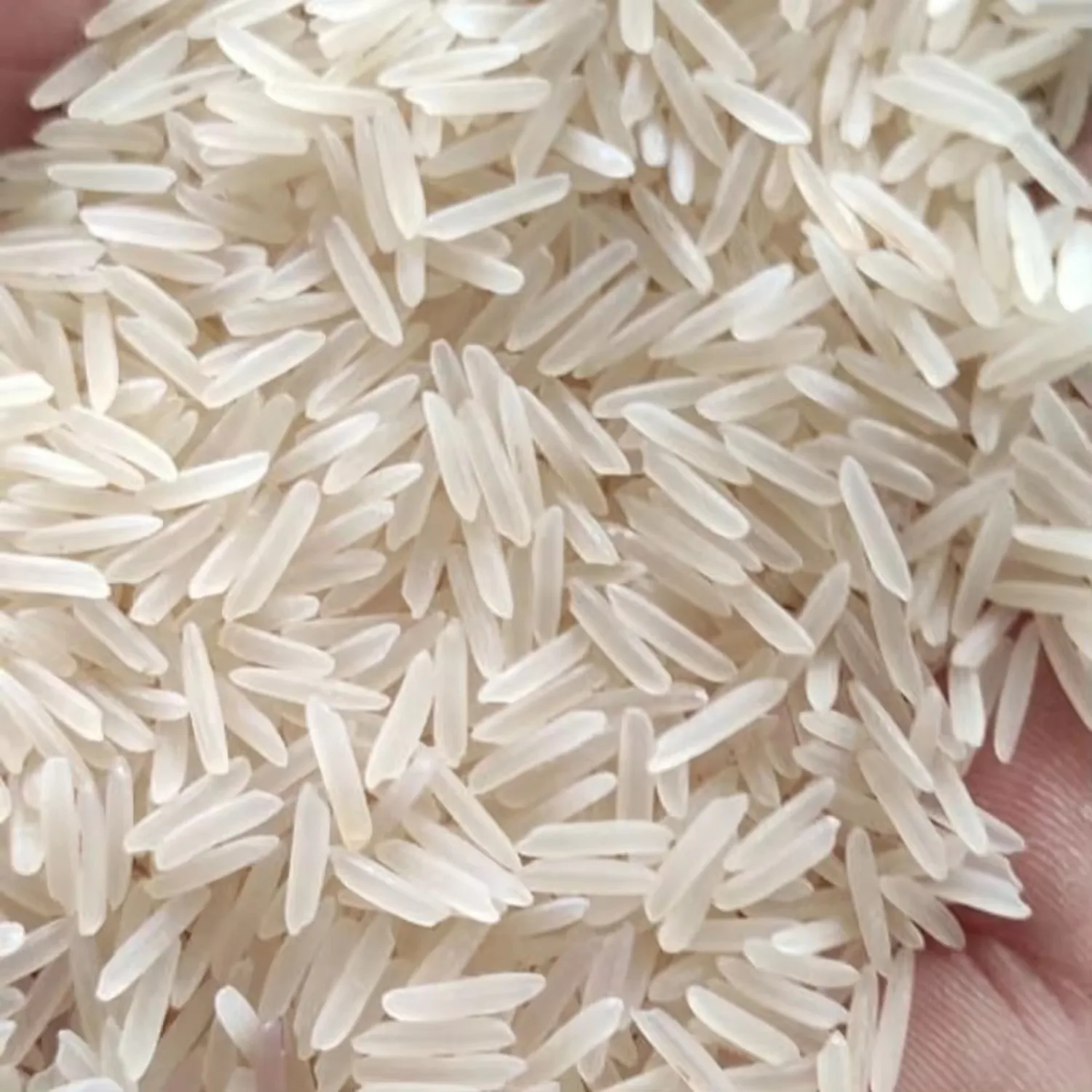 High Quality Low Price Basmati white Long Rice Buy cheap but quality Long Grain Parboiled Rice