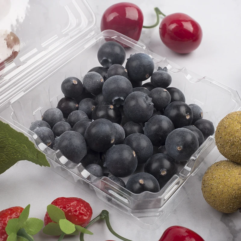 Custom Container Packaging Fresh Fruit Plastic Food Blister Box Goods Fruits Blueberry Packing Cherry Boxes With Gaps
