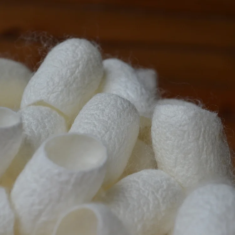 Factory direct supply 100% natural silkworm cocoon