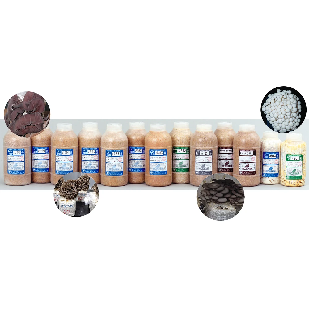 Инокулум для других Семен грибов для выращивания культивирования