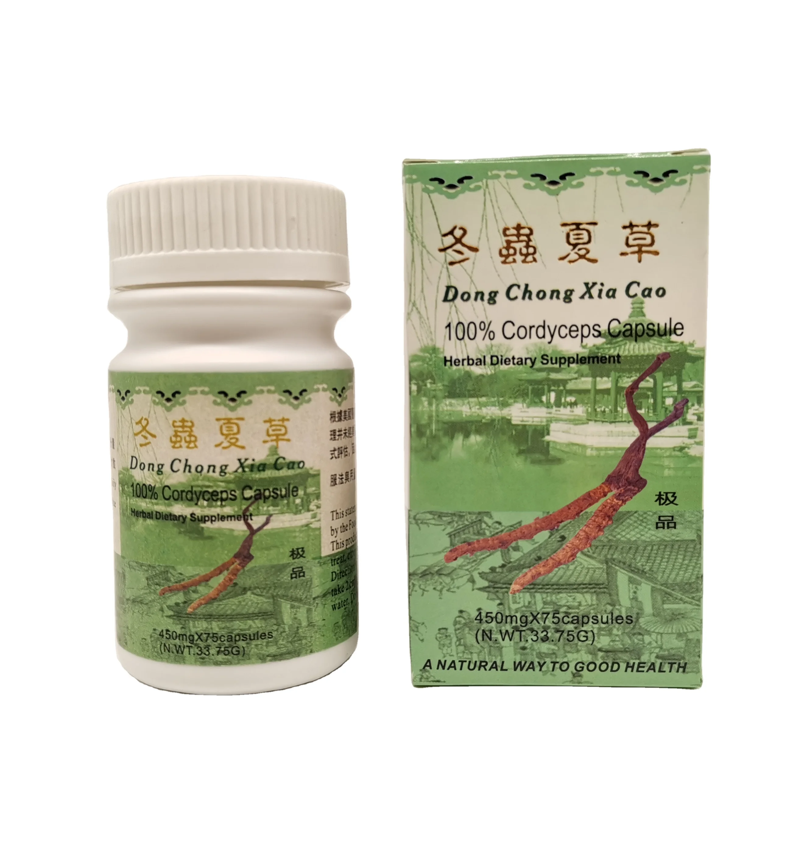 Private Label Cordyceps Sinensiscapsule/dong Chong Xia Cao /OEM