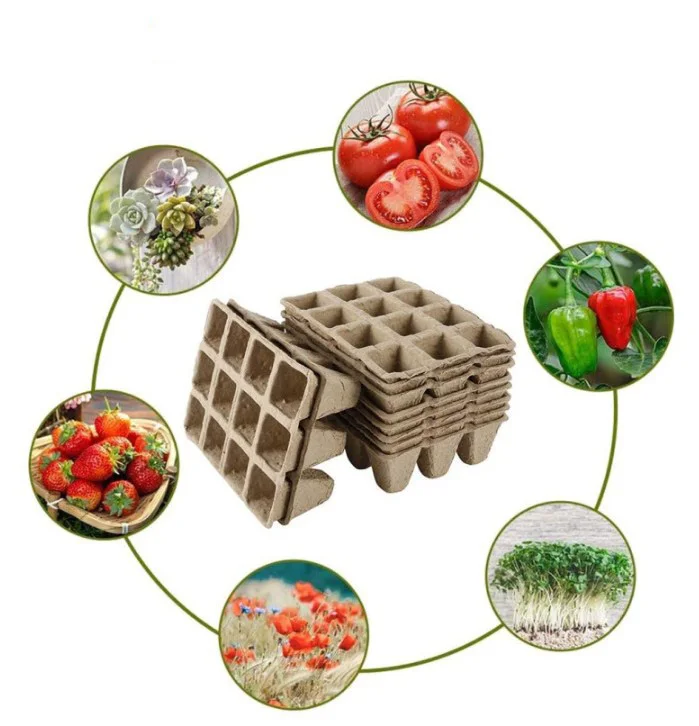 Biodegradable Recycle 12 cavity Tray Square Site Seeding Planter Potting Seeds Starter Grow Flower Plant Nursery Trays