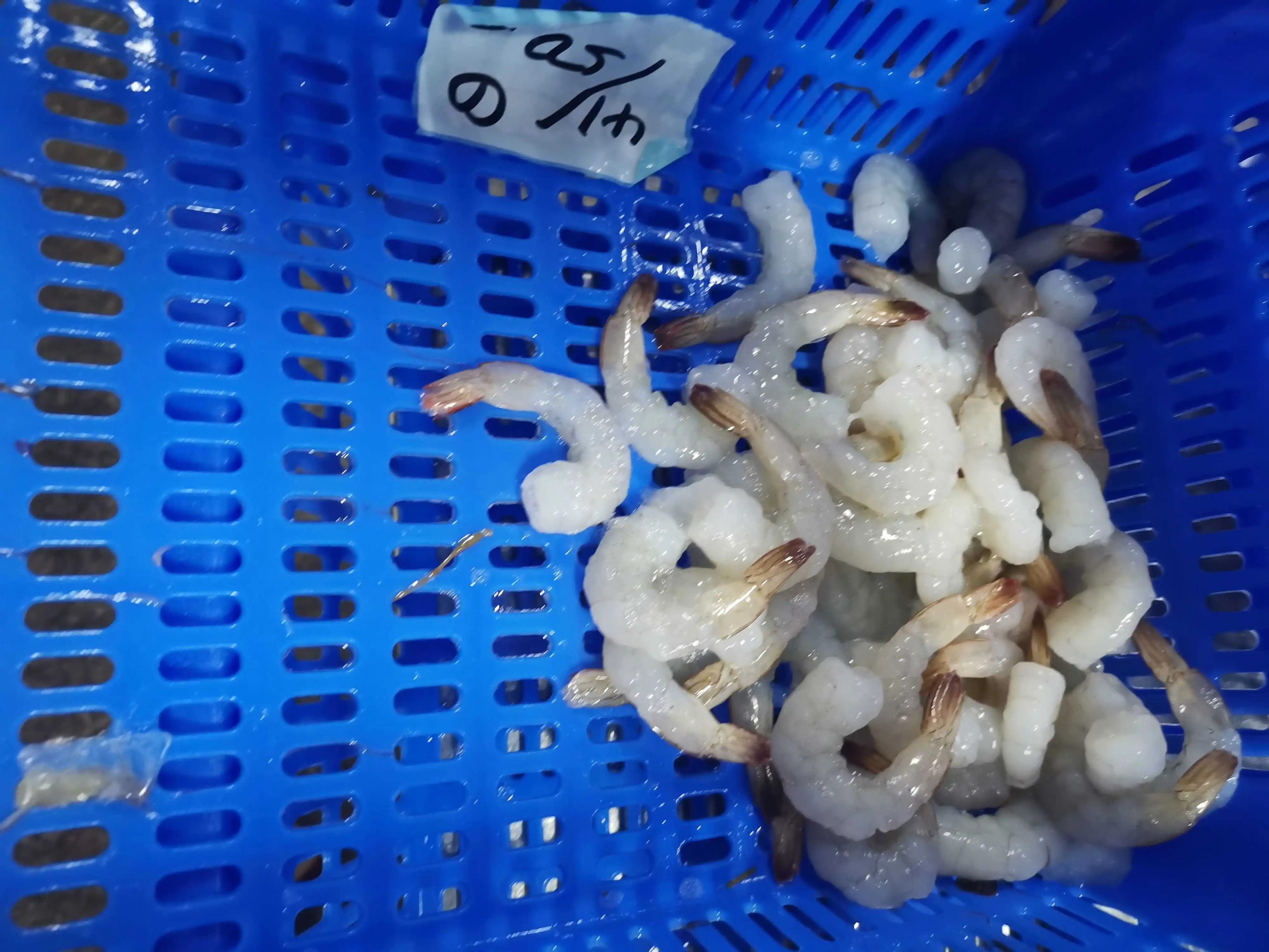 Wholesale Price Frozen Vannamei Shrimp White Prawns Meat PDTO Vannamei Shrimp Meat for Sale