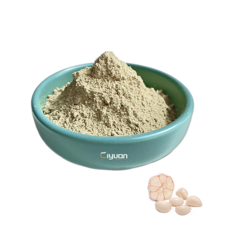 Factory Supplier Direct High Quality and Price Garlic Extract Powder Allicin and Alliin