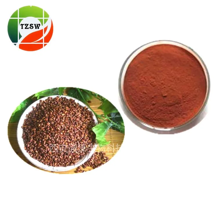 
Grape Seed Extract Procyanidine 99% 