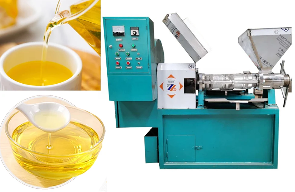Fully automatic spiral oil pressers peanut sesame Walnut oil pressers press