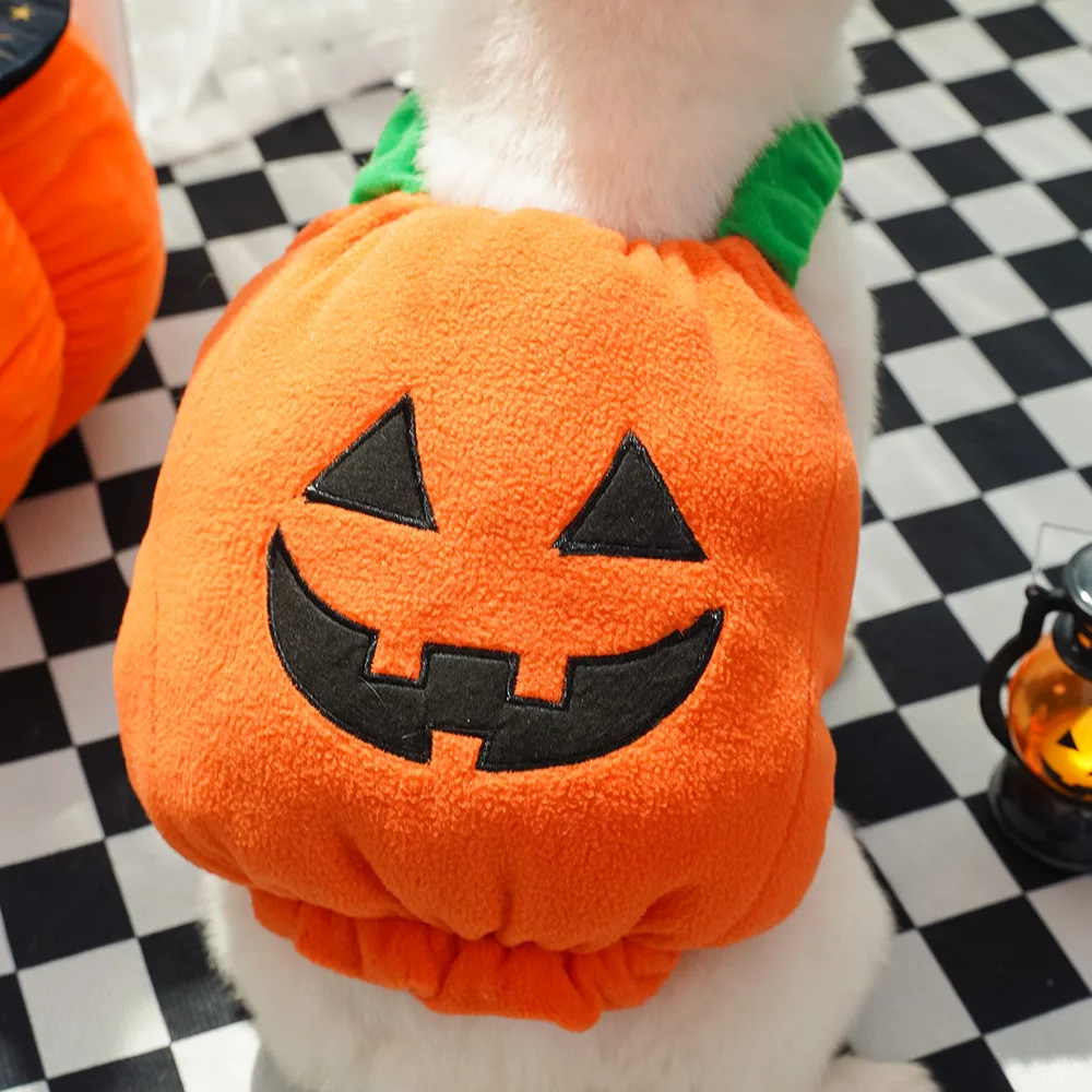 Halloween Holiday Pumpkin Lights Transformer Costume Spooky Cat Pet Dog Clothes
