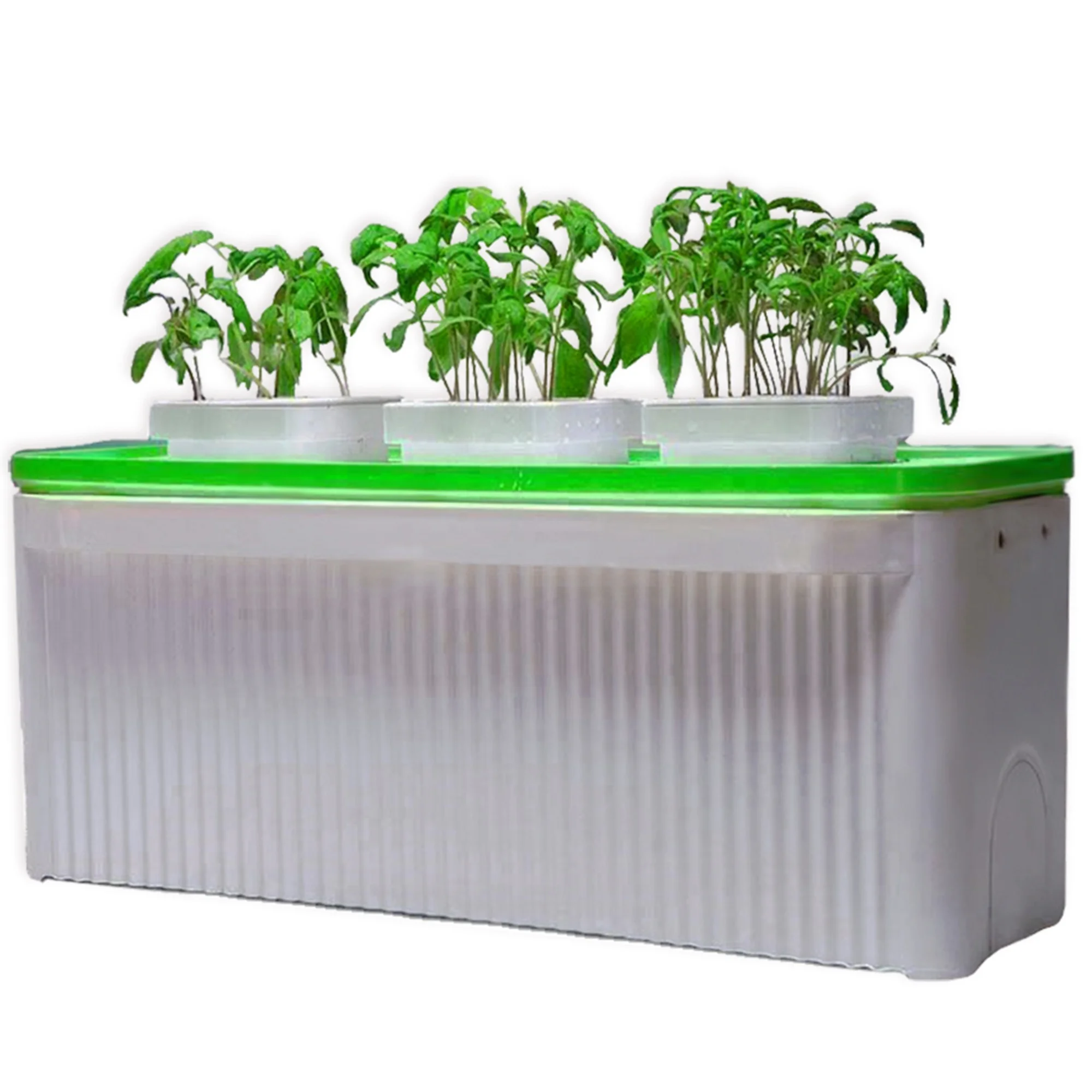 complete hydroponic growing systems hydroponic rock wool cubes for lettuce growing complete hydroponic growing systems