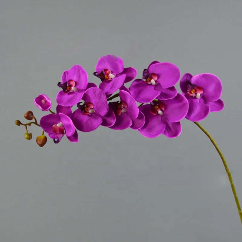 Real touch Environmentally Friendly Plastic phalaenopsis orchids live plant