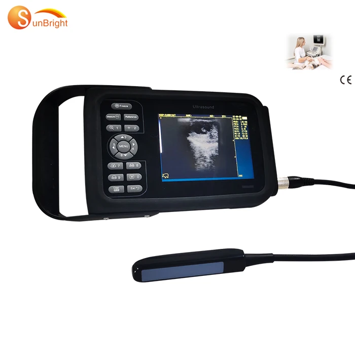 Animal Pregnancy test Ultrasound Equipment cattle sheep horse Pregnancy Ultrasound with probe