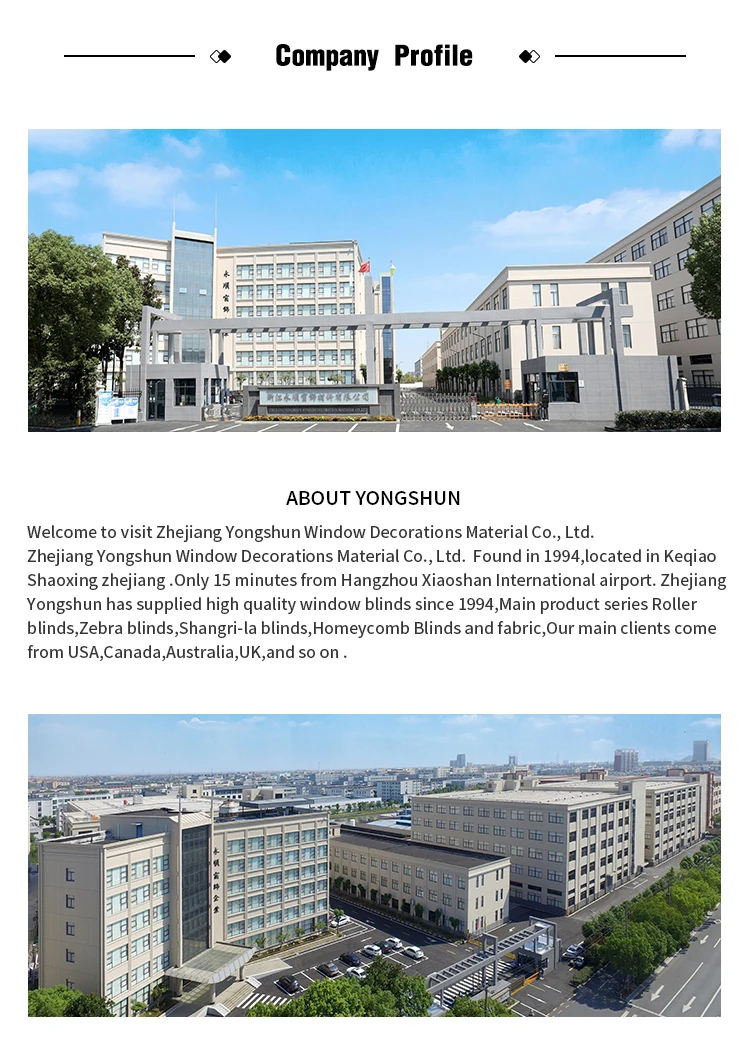 App Smart Alexa Automatic Dual Motorized Roller Blind Zigbee Wifi Blinds Motorized automatic Zebra shades