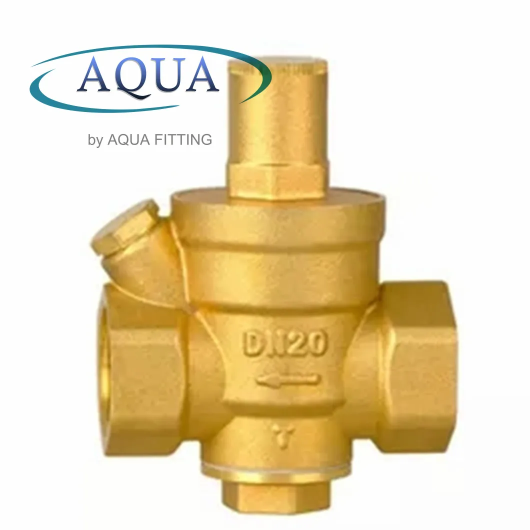 Pressure Reducing Control & Cryogenic Valve Industrial Cooling Valve