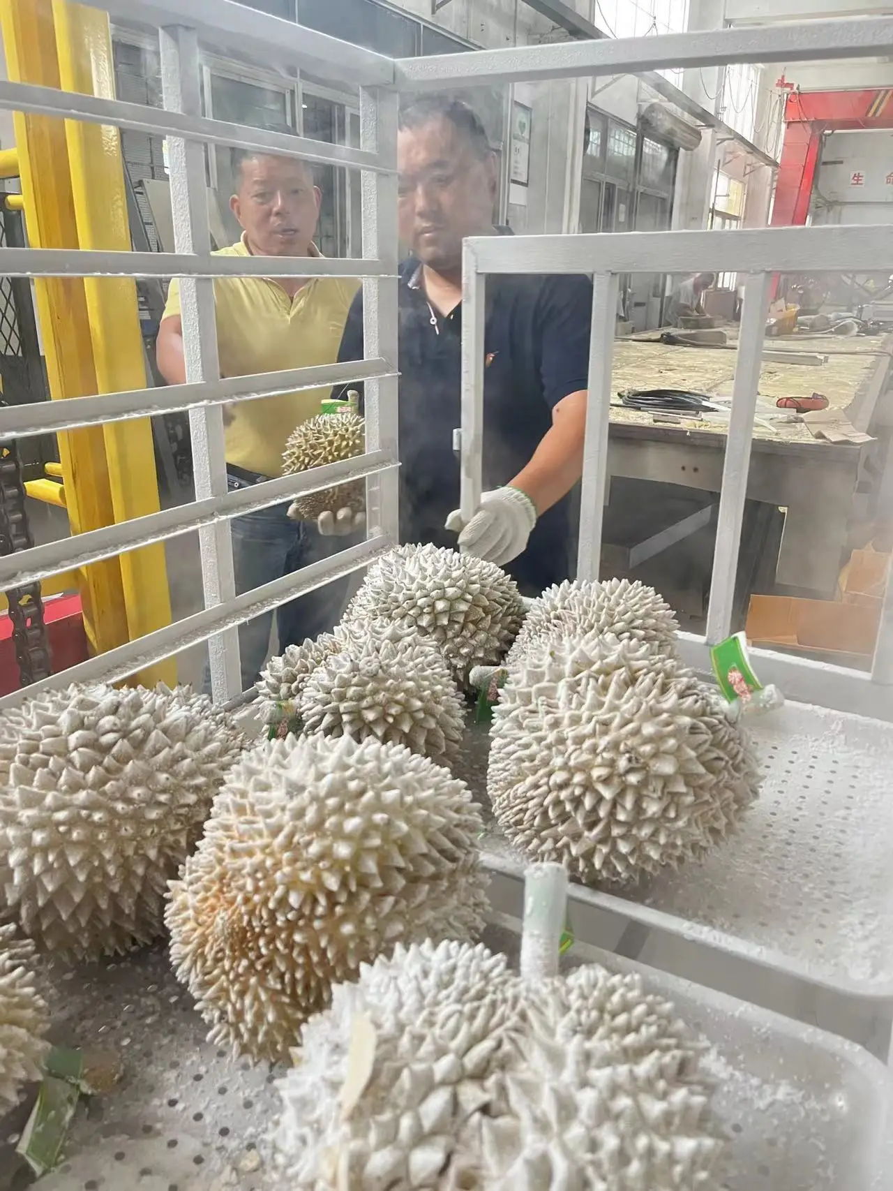 Liquid Nitrogen  Cabinet Type  Durian Instant Freezer