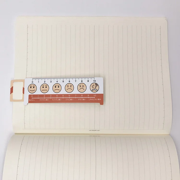 Acrylic Ruler Custom Printed Laser Cutting Acrylic Plastic Ruler For Promotion