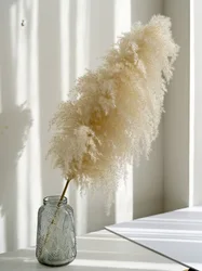 2022 wholesale natural real dried pampas low price fluffy large pampas grass for home wedding indoor decoration
