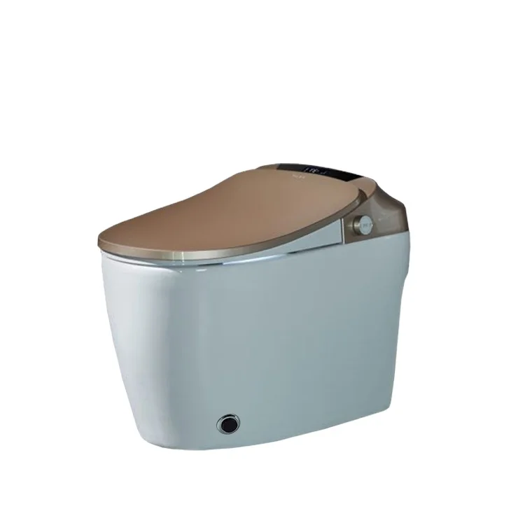 OEM SALA Full Automatic Heating and cleaning ceramic toilet classic gold toilets